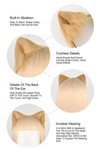 Crazy Zootopia Nick Fox Collar Headband Fox Tail Accessories